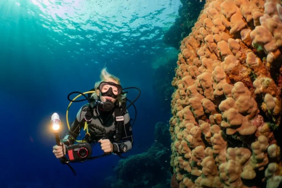 Portghalib diving trip from El Quseir