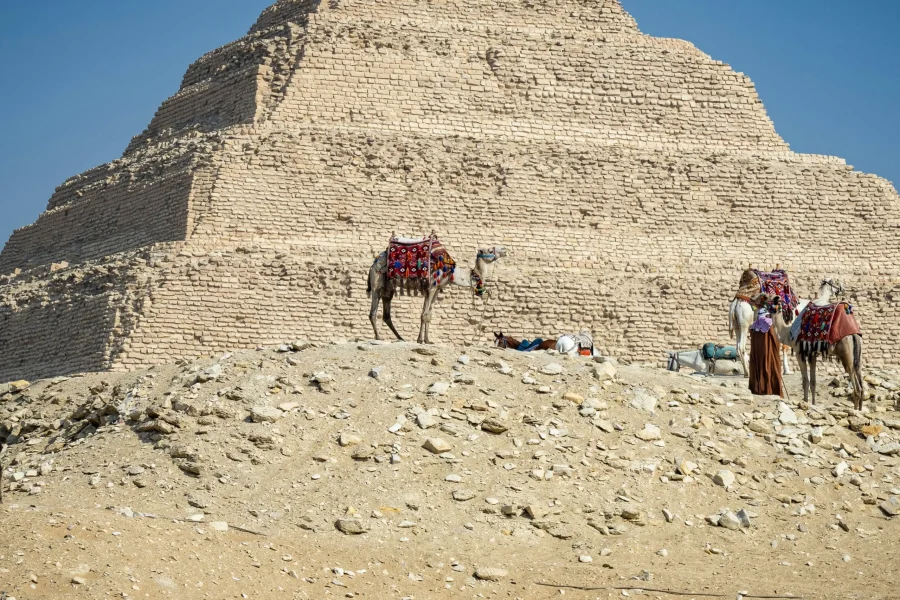 Saqqara & Memphis Tour from Cairo