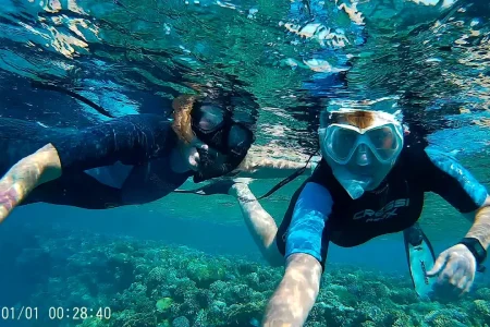 Day snorkeling trip to Sharm el Lulli and wadi El Qulaan