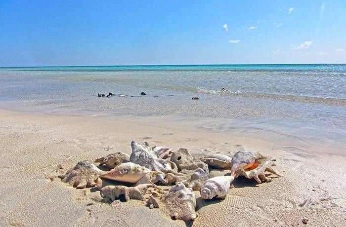 Sharm El Luli and Qulan